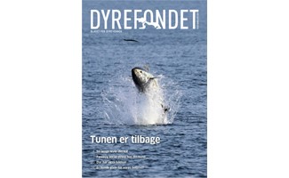 Bladet for Dyrevenner oktober 2024